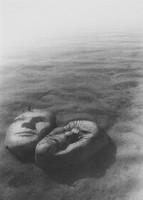 © Leslie Harris Photography 